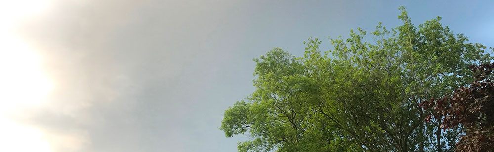 neuro bellevue bruxelles