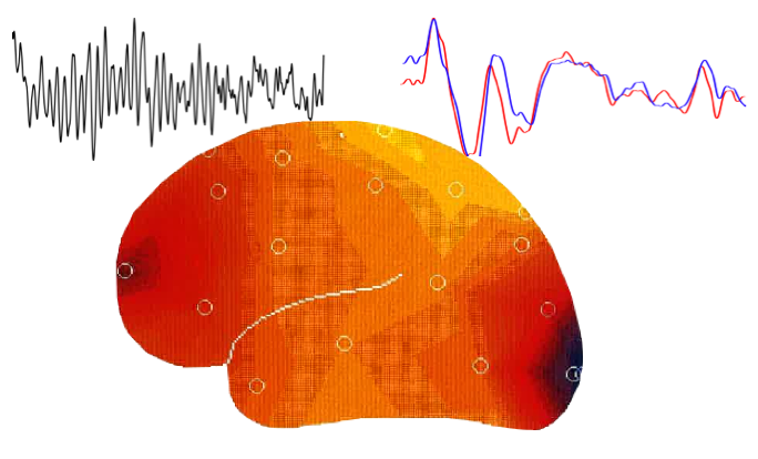 neuro bellevue logo